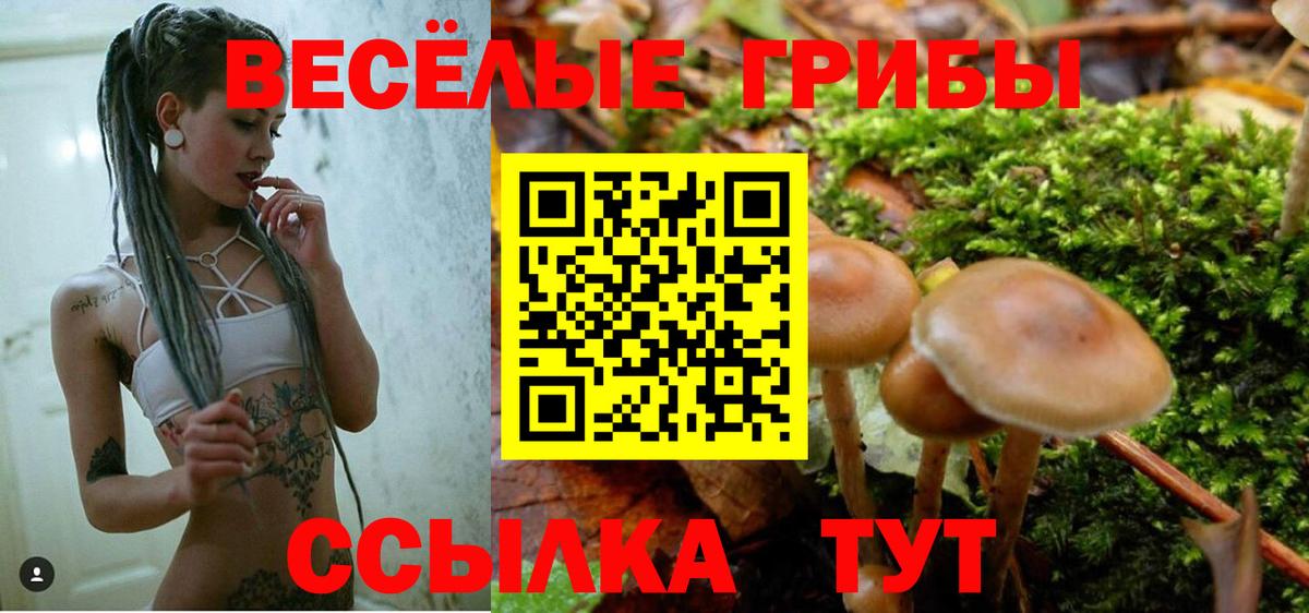 Тверь  Псилоцибиновые грибы Psilocybe  Вход с VPN 
