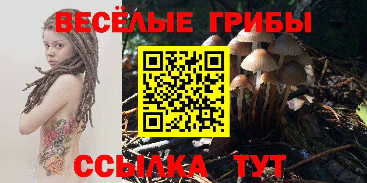 Галлюциногенные грибы ЛСД Тверь